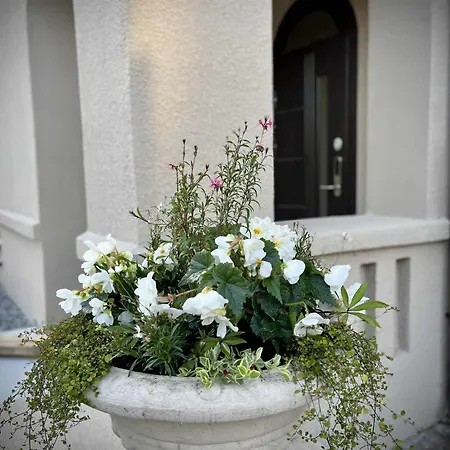 Jurates 25 * Паланга