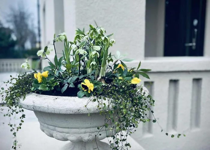 Апартаменти Jurates 25 Паланга