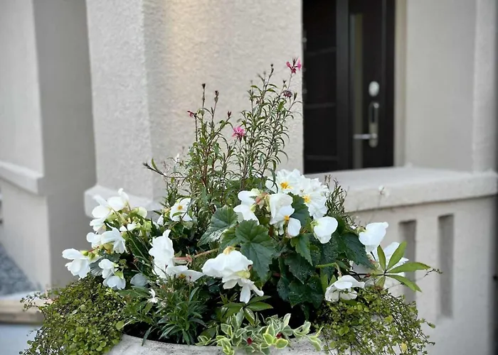 Jurates 25 * Паланга